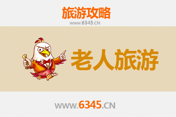 天门岳口镇银龄漫游指南：古韵水乡的安逸之旅